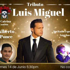 Luis Miguel Tribute