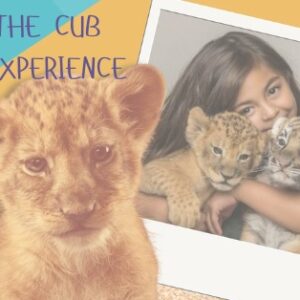 Mariposa’s Butterfly and Cub Experience
