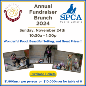 SPCA Annual Fundraiser Brunch