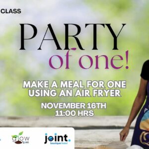Air Fryer Class: Party of One