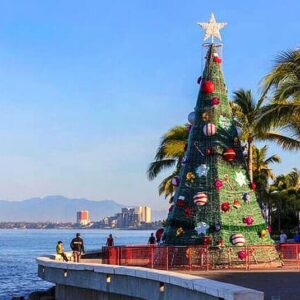 Christmas Dinner in Puerto Vallarta