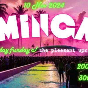 El Domingazo Sunday Funday with The Pleasant Uprising