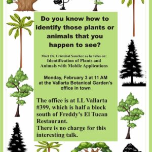 Identification of Plants and Animals with Mobile Applications