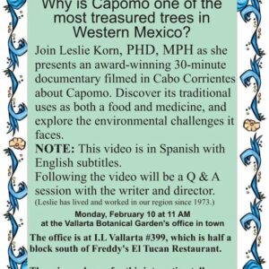 Capomo: A Treasured Tree in Western Mexico