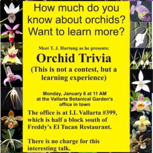 Orchid Trivia (not a contest)