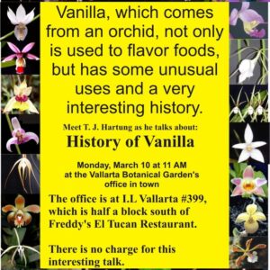 History of Vanilla