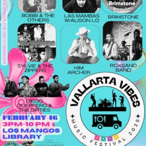 Vallarta Vibes Music Festival (Vallarta School for Girls Fundraiser)
