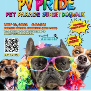 Pride Pet Parade Sunset Dog Walk π³οΈβπ