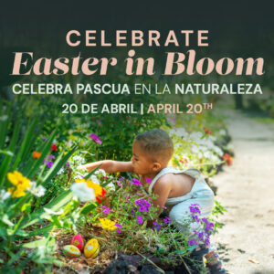 Easter In Bloom and Egg Hunt for Kids