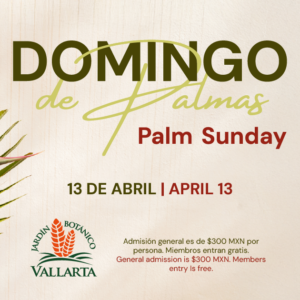 Relax With Us This Palm Sunday