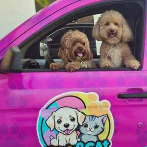 Puerto Vallarta’s Animal Hangout