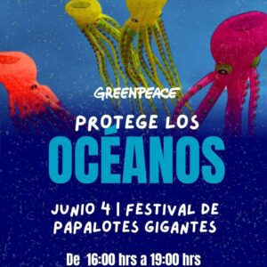 Protect the Oceans: Giant Kite Festival