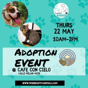 Pet Adoption Event