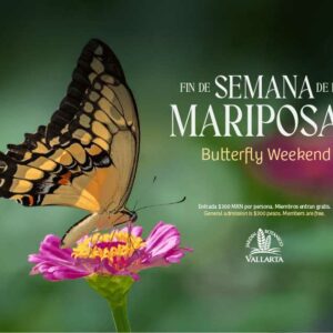 Butterfly Weekend