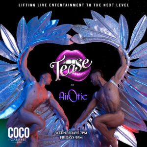 AirOtic: Tease (Circus-Style Cabaret & Aerial Show)