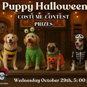 Puppy Halloween Costume Contest