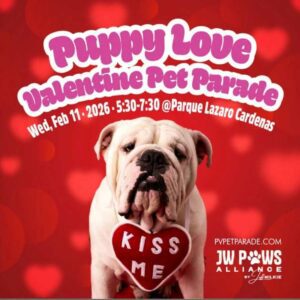 Puppy Love Valentine Pet Parade (Dog Walk)