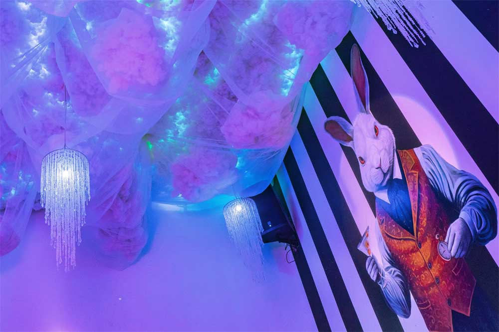 White Rabbit Lie photo 2