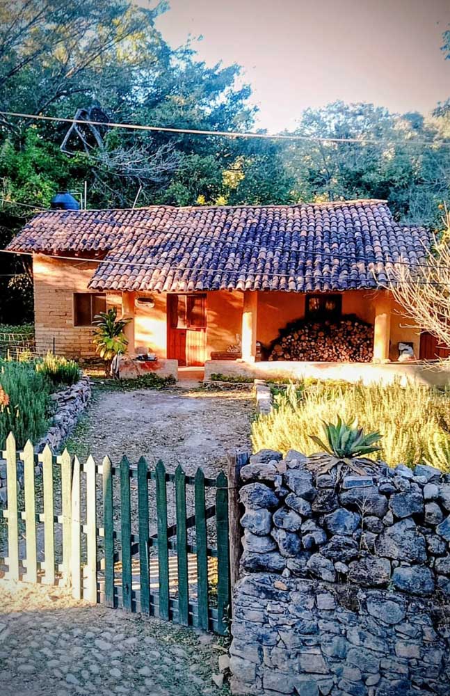 Organic Select Mexico photo 2