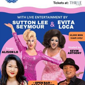 Vallarta Cares: A Night of Giving